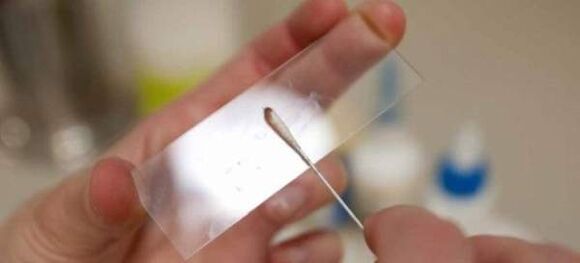 Raspado para ovos de vermes